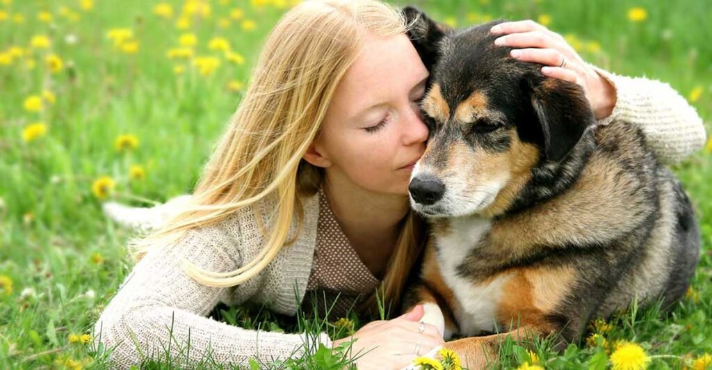 End of Life Care for Cats and Dogs